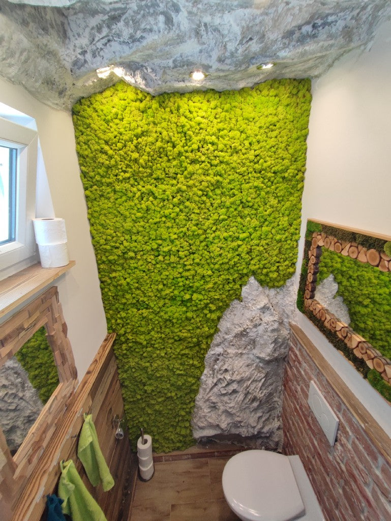 Mooswand - Islandmoos Frühlingsgrün - Felsen - Gäste-WC