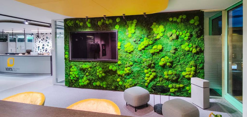 Wandgestaltung mit Polstermoos Waldmoos - Warteraum - TV-Wand