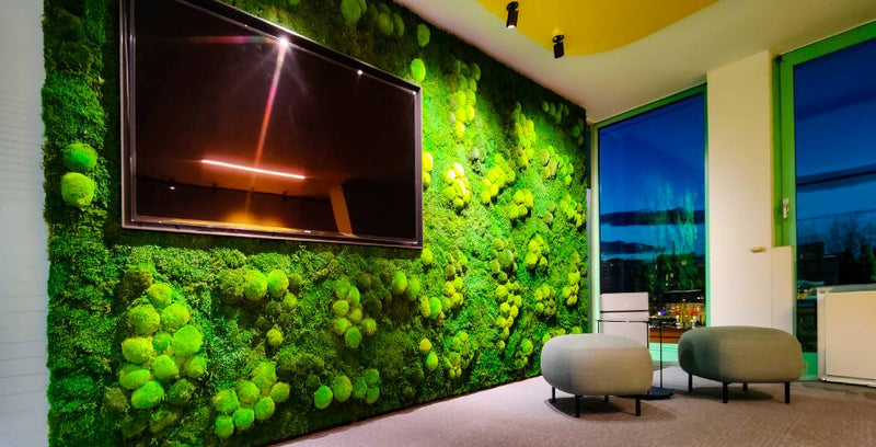 Wandgestaltung mit Polstermoos Waldmoos - Warteraum - TV-Wand