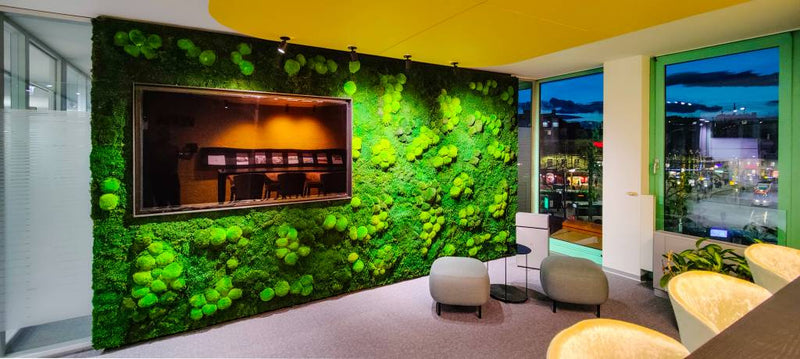 Wandgestaltung mit Polstermoos Waldmoos - Warteraum - TV-Wand