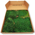 Konserviertes Wald- / Lappenmoos - Farbe Waldgrün - Karton a ca. 0,60 kg