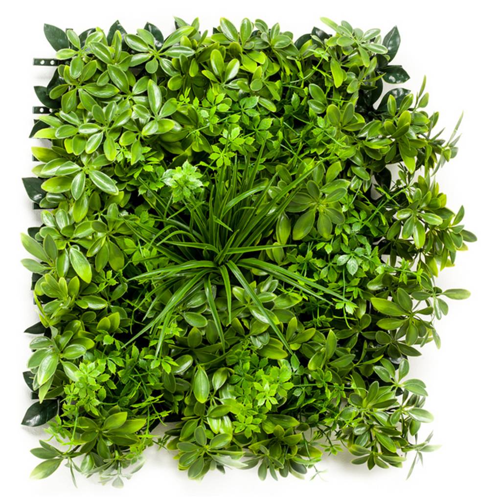 Kunstpflanzen-Matte Schefflera - 50x50 cm