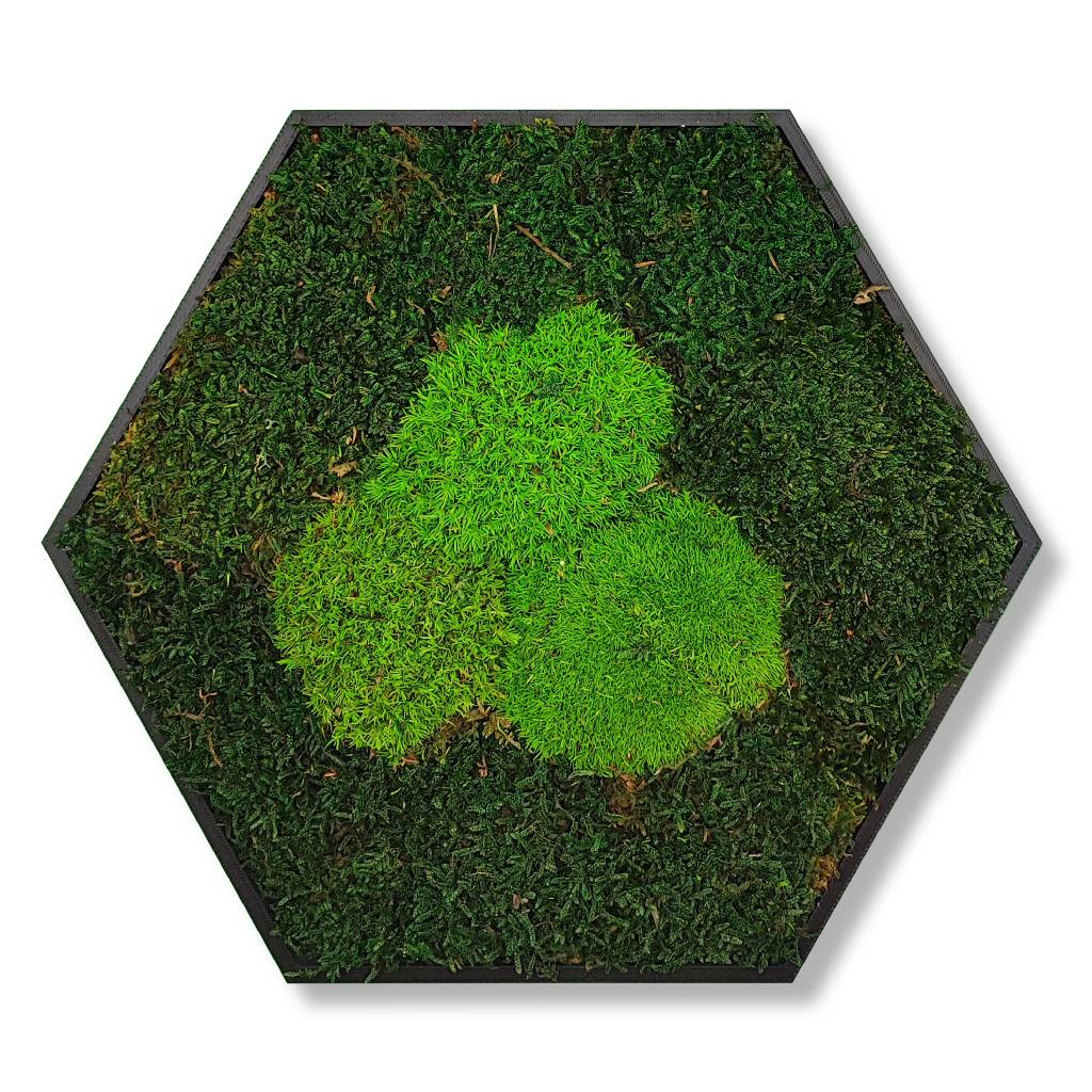 Moosbild - Hexagon 30 cm - Wald & Polstermoos - Mix Grün - PLA-Rahmen