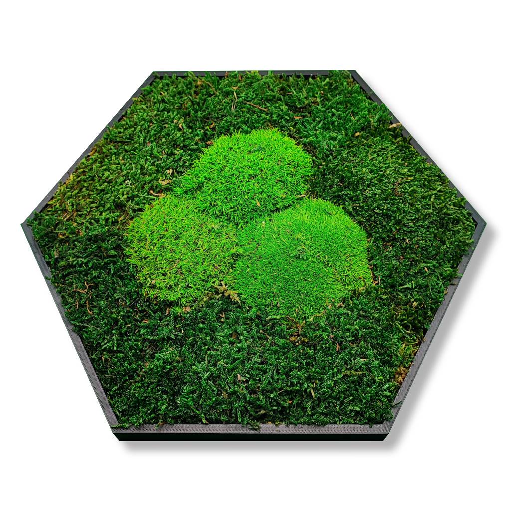 Moosbild - Hexagon 30 cm - Wald & Polstermoos - Mix Grün - PLA-Rahmen