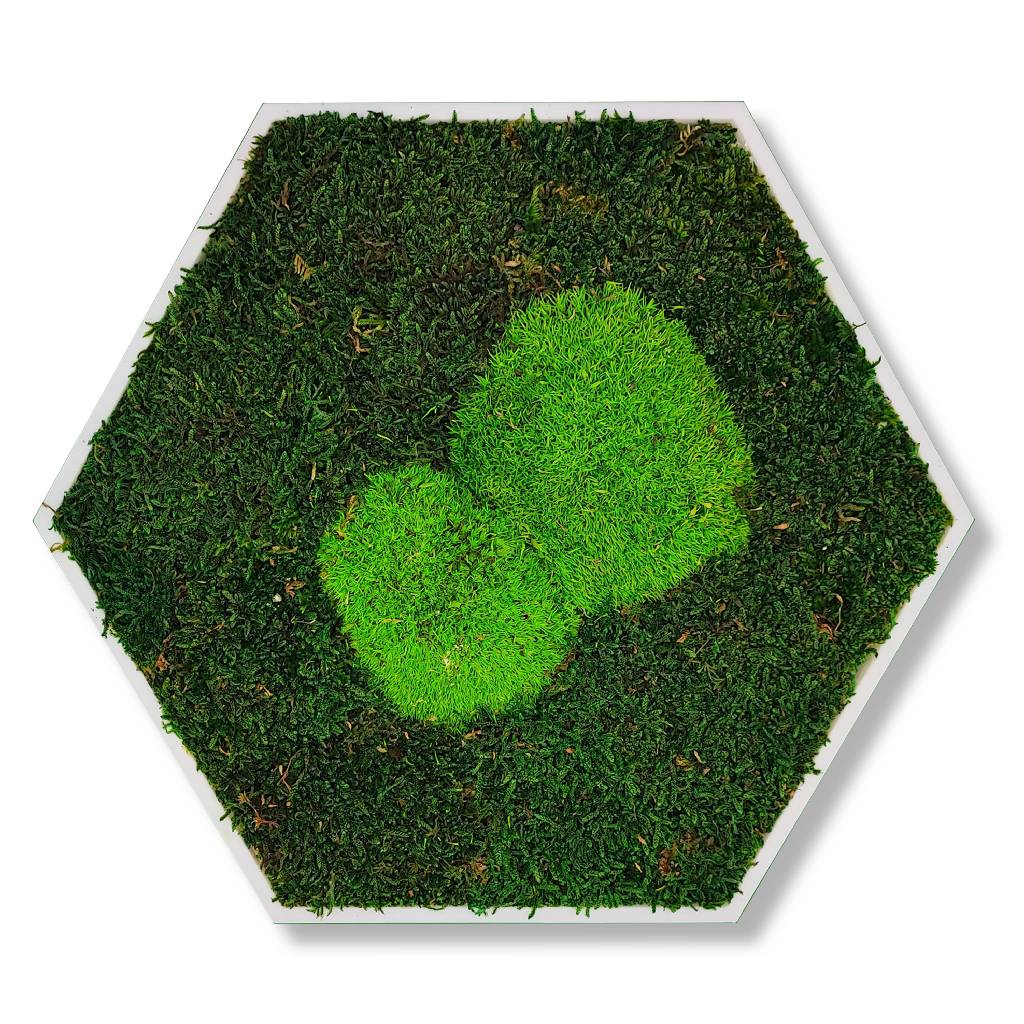 Moosbild - Hexagon 30 cm - Wald & Polstermoos - Mix Grün - PLA-Rahmen