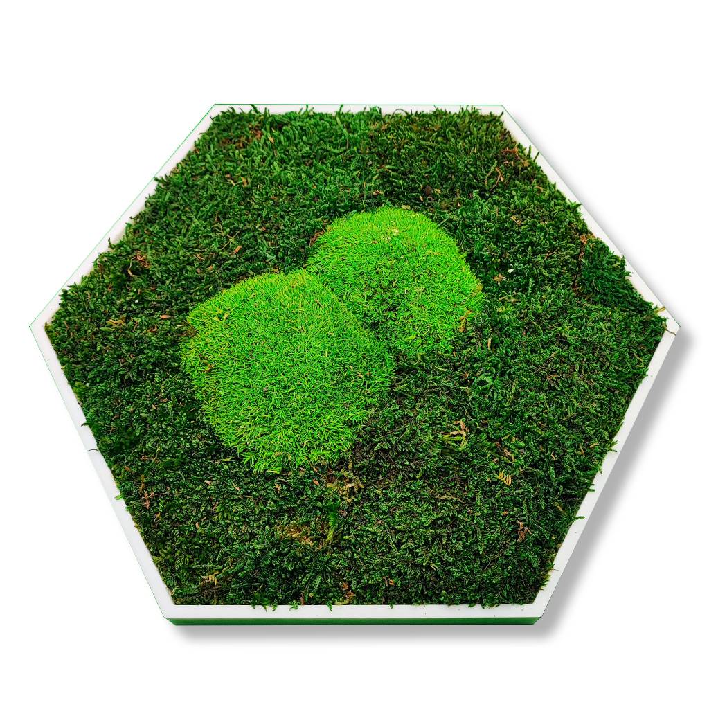 Moosbild - Hexagon 30 cm - Wald & Polstermoos - Mix Grün - PLA-Rahmen