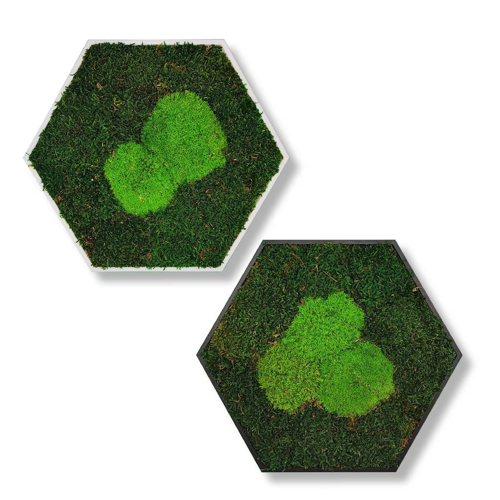 Moosbild - Hexagon 30 cm - Wald & Polstermoos - Mix Grün - PLA-Rahmen