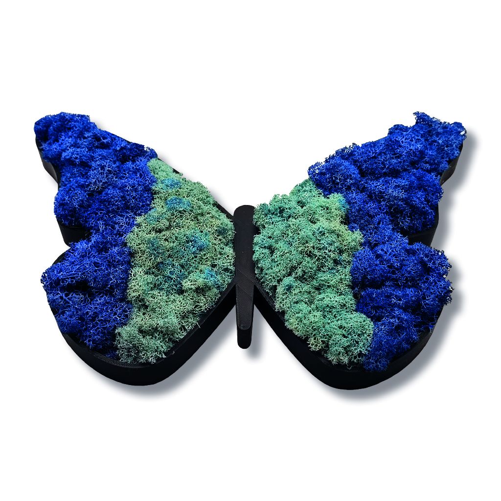 Moosbild - Piktogram - Schmetterling - PLA-Rahmen - Islandmoos