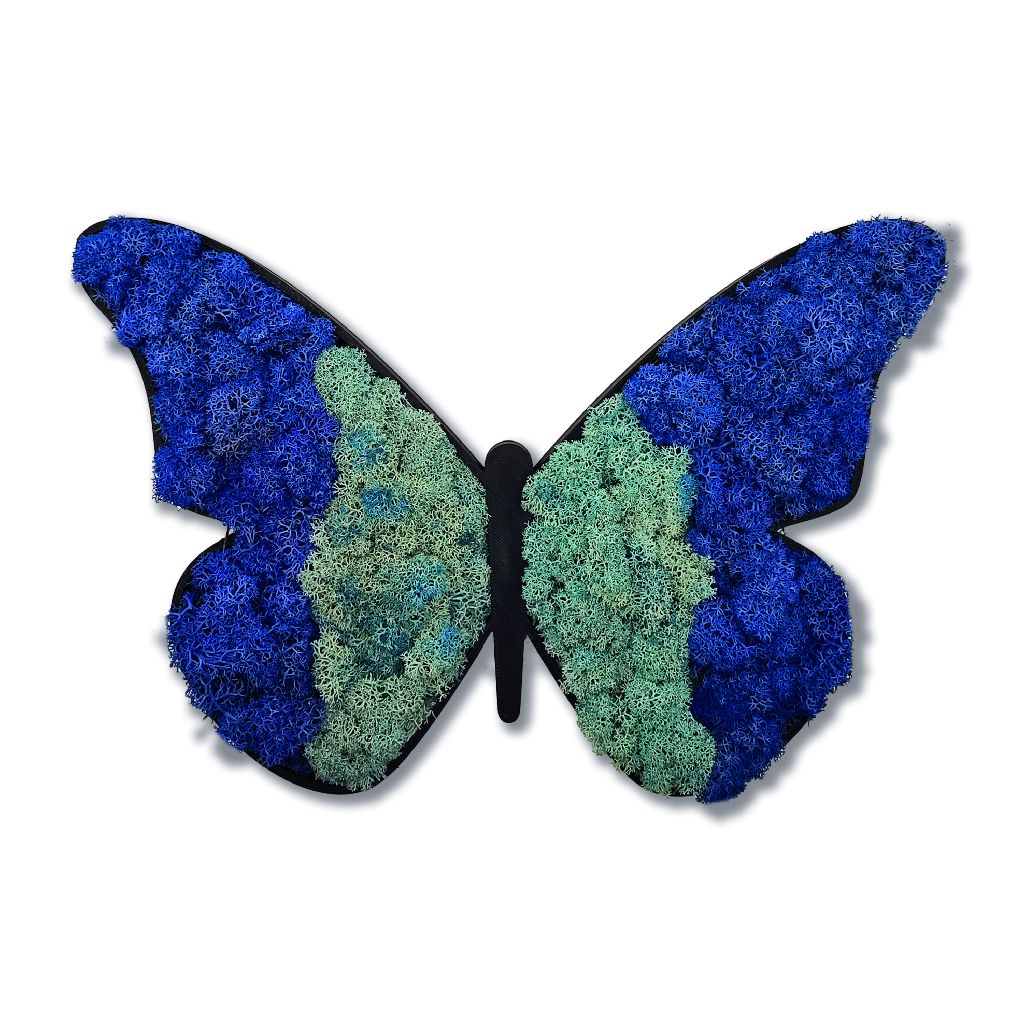 Moosbild - Piktogram - Schmetterling - PLA-Rahmen - Islandmoos