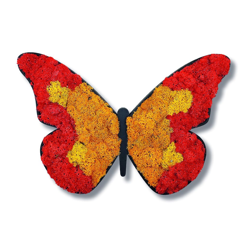 Moosbild - Piktogram - Schmetterling - PLA-Rahmen - Islandmoos
