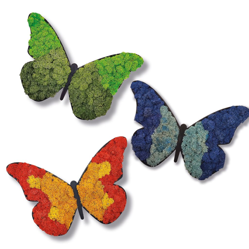 Moosbild - Piktogram - Schmetterling - PLA-Rahmen - Islandmoos