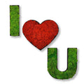 Moosbild - Piktogram - I Love You - PLA-Rahmen - Islandmoos
