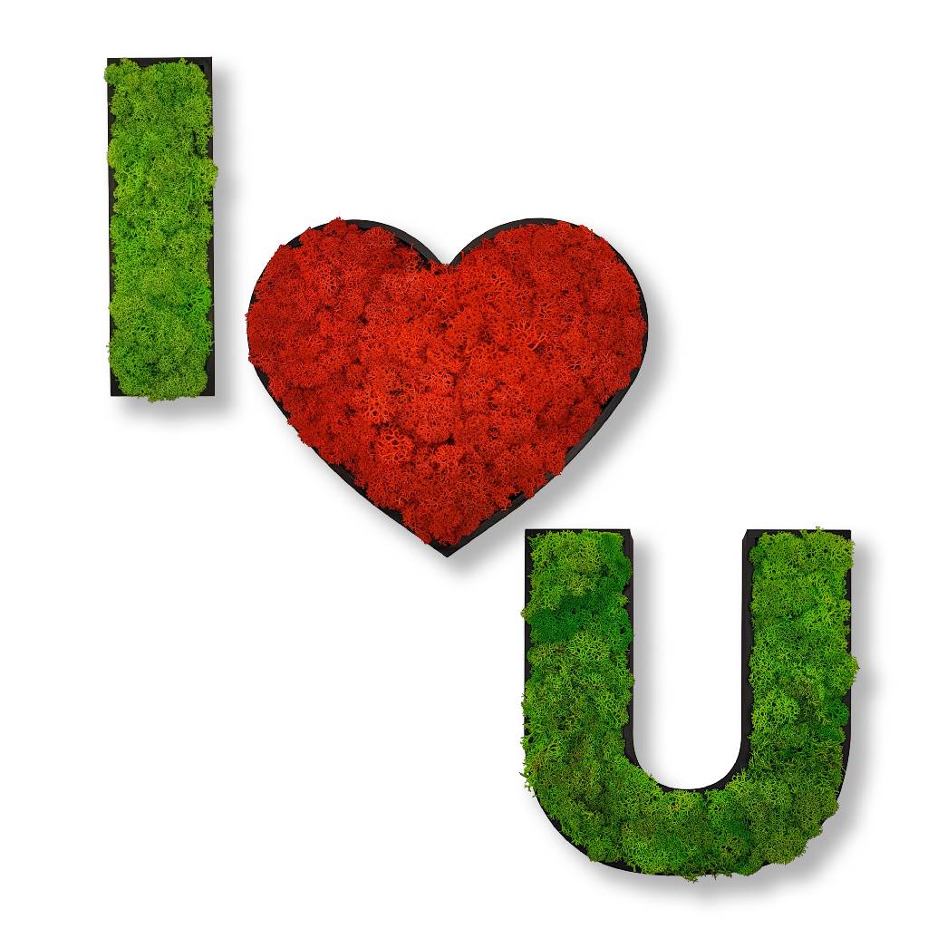 Moosbild - Piktogram - I Love You - PLA-Rahmen - Islandmoos