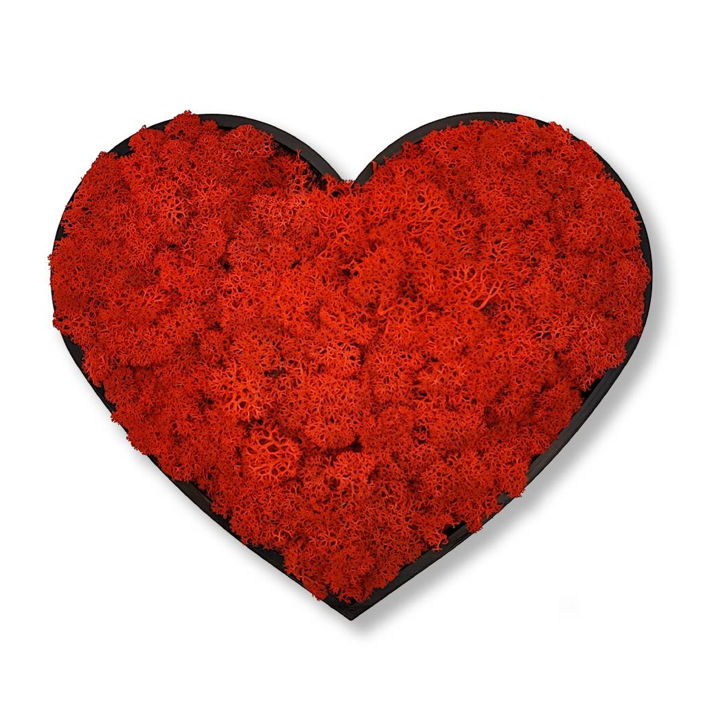 Moosbild - Piktogram - I Love You - PLA-Rahmen - Islandmoos