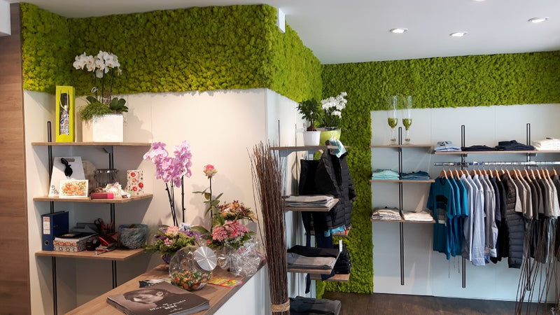 Mooswand - Islandmoos Frühlingsgrün - Bekleidungsgeschäft