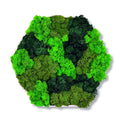 Moosbild - Hexagon 30 cm - Islandmoos - Spots Dunkelgrün - PLA-Rahmen