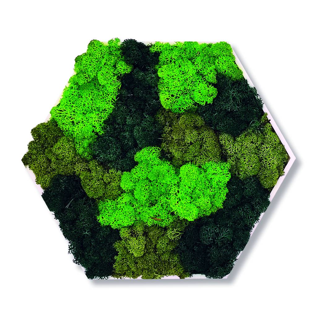 Moosbild - Hexagon 30 cm - Islandmoos - Spots Dunkelgrün - PLA-Rahmen